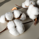 Image for article titled Spokane, Wash. Middle School Gives Class Cotton Picking Assignment. Black Kids in the Class Are Like, 'Uh...No.'